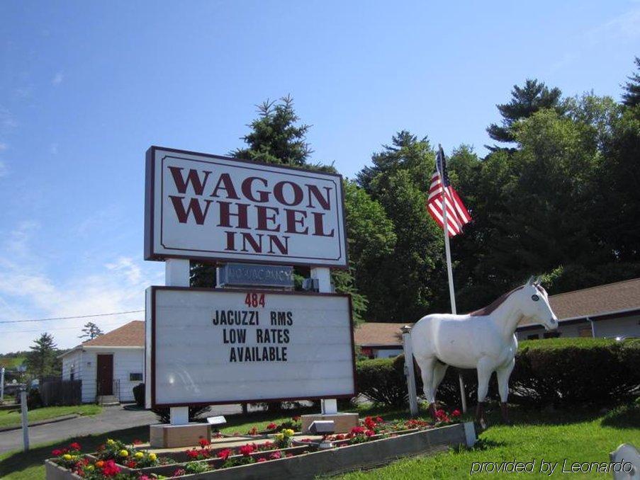 Wagon Wheel 2* Lenox